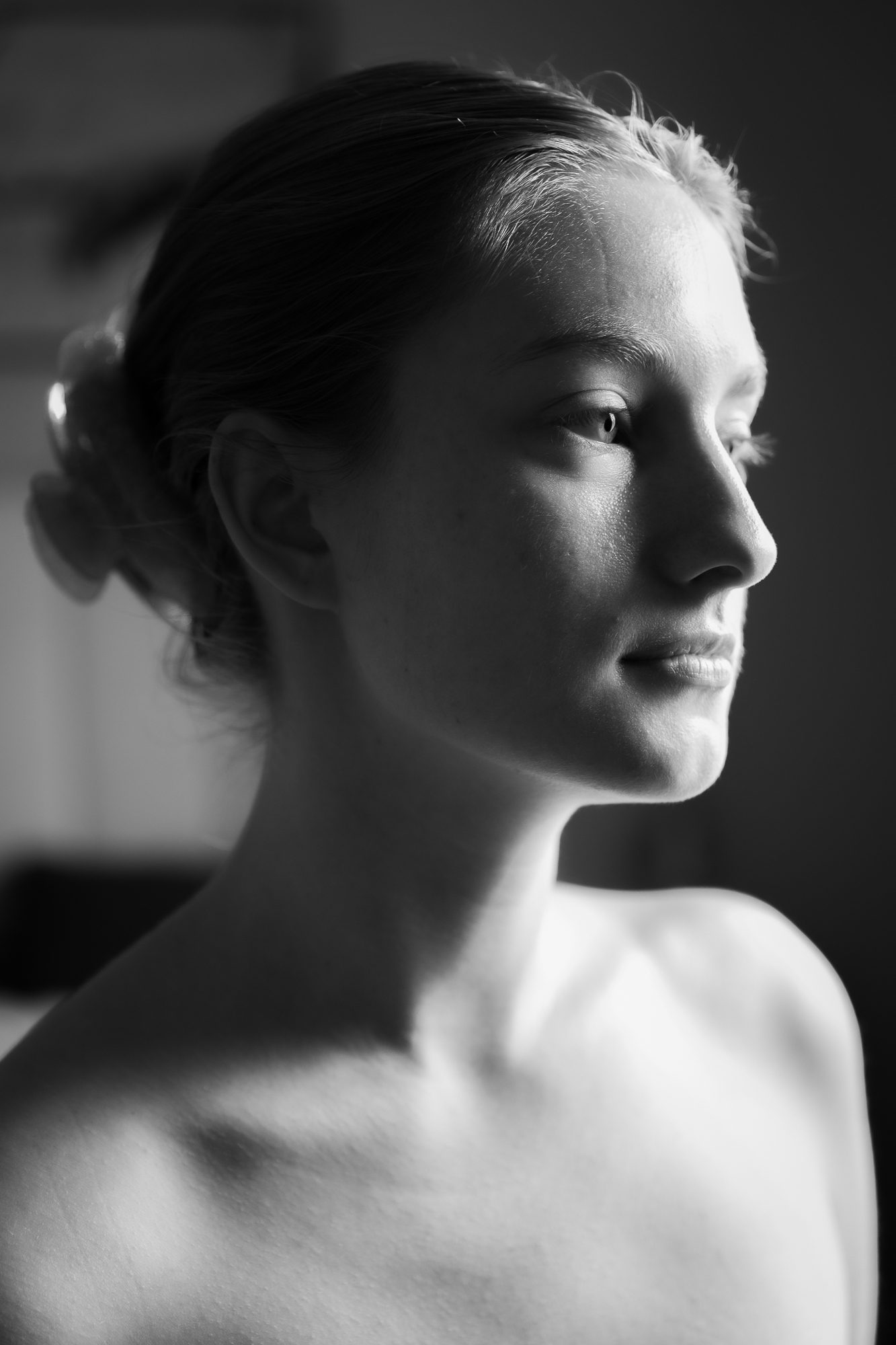 North Light · photograph, Porch Light Studio